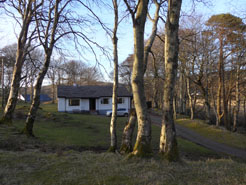 DP1010846s.jpg