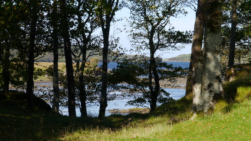 M17-P1010479.JPG